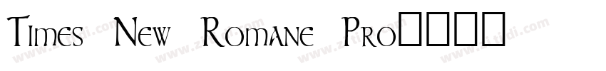 Times New Romane Pro字体转换